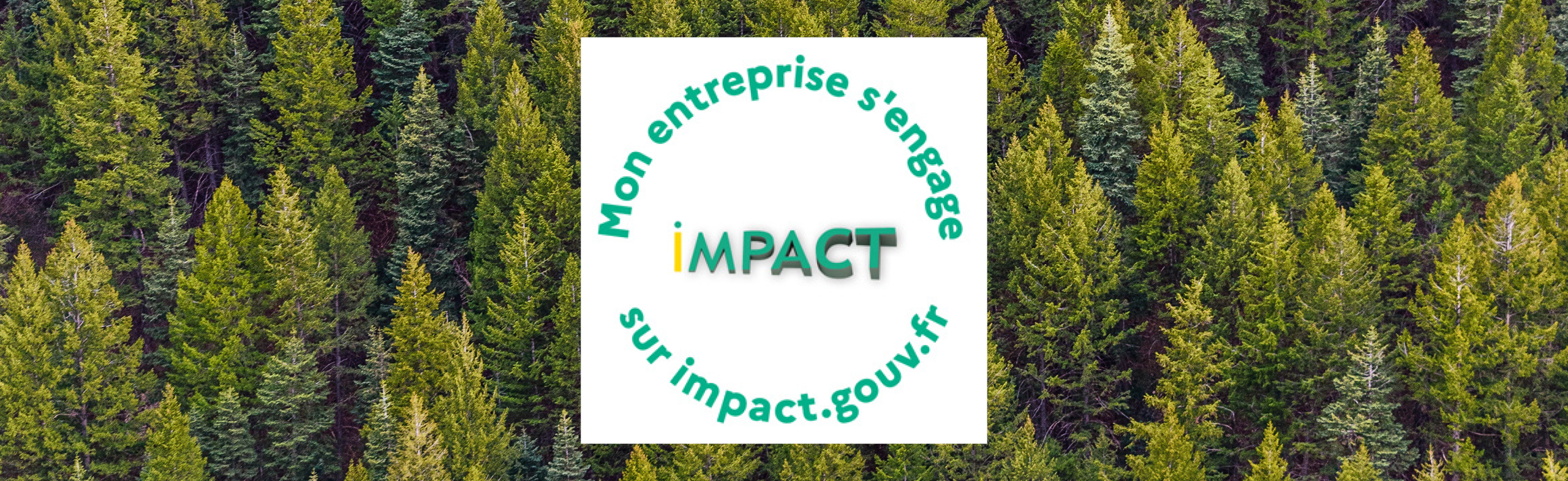 A2 Consulting s'engage avec Impact