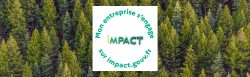A2 Consulting s'engage avec Impact